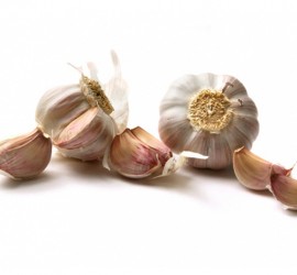 port_garlic