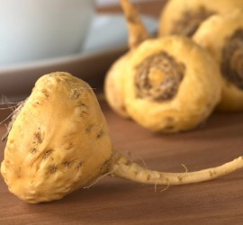 port_macaroot