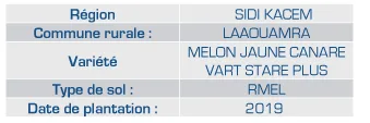 Results on melons — 3