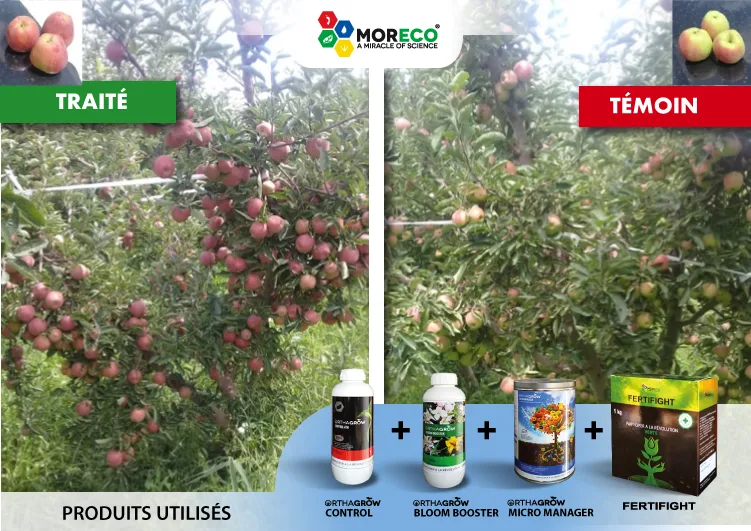Resultaten bij appelbomen