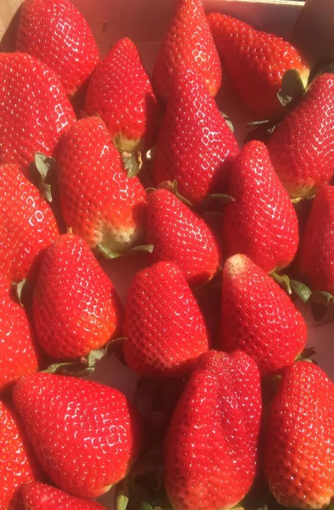 Strawberry — Dlalha